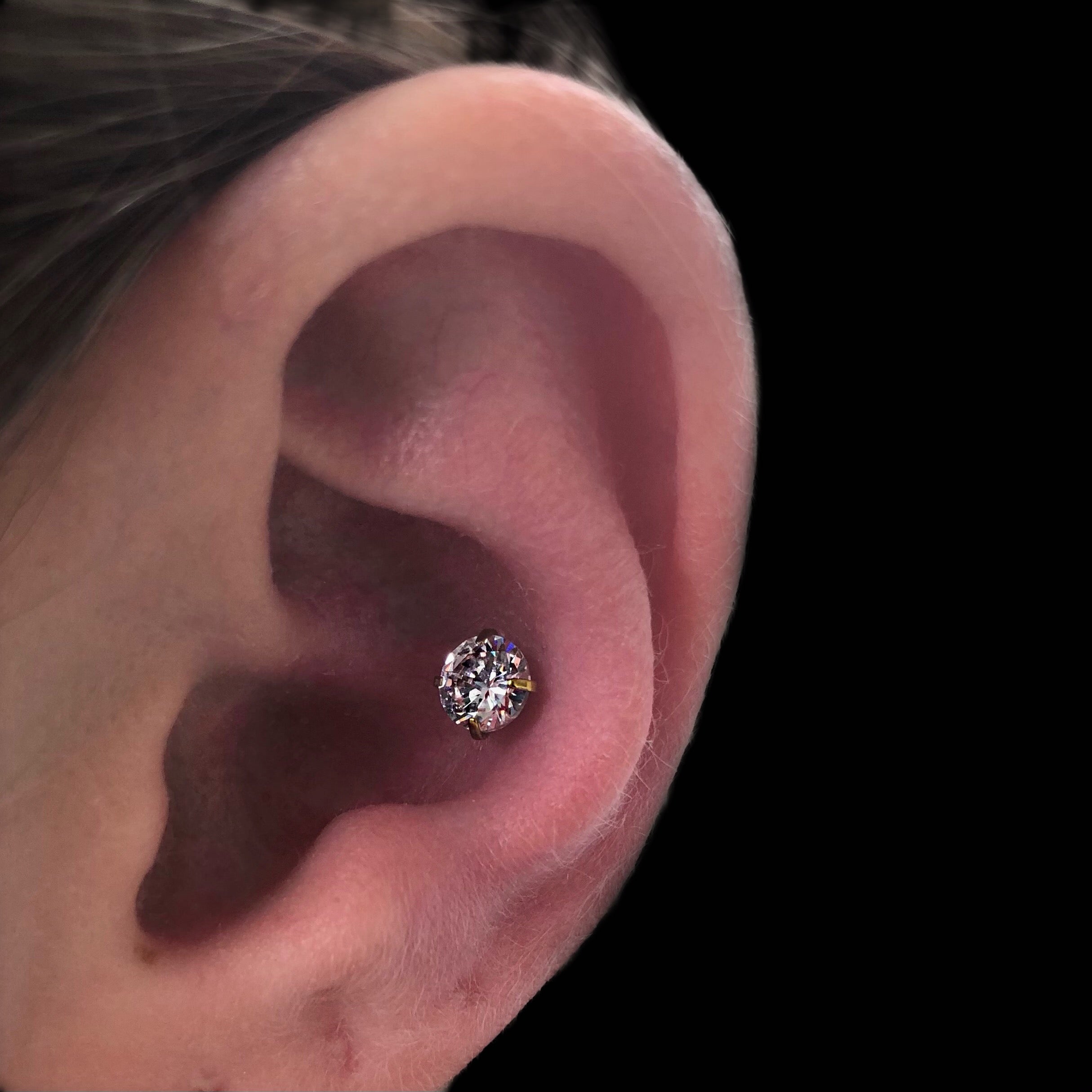 Conch
