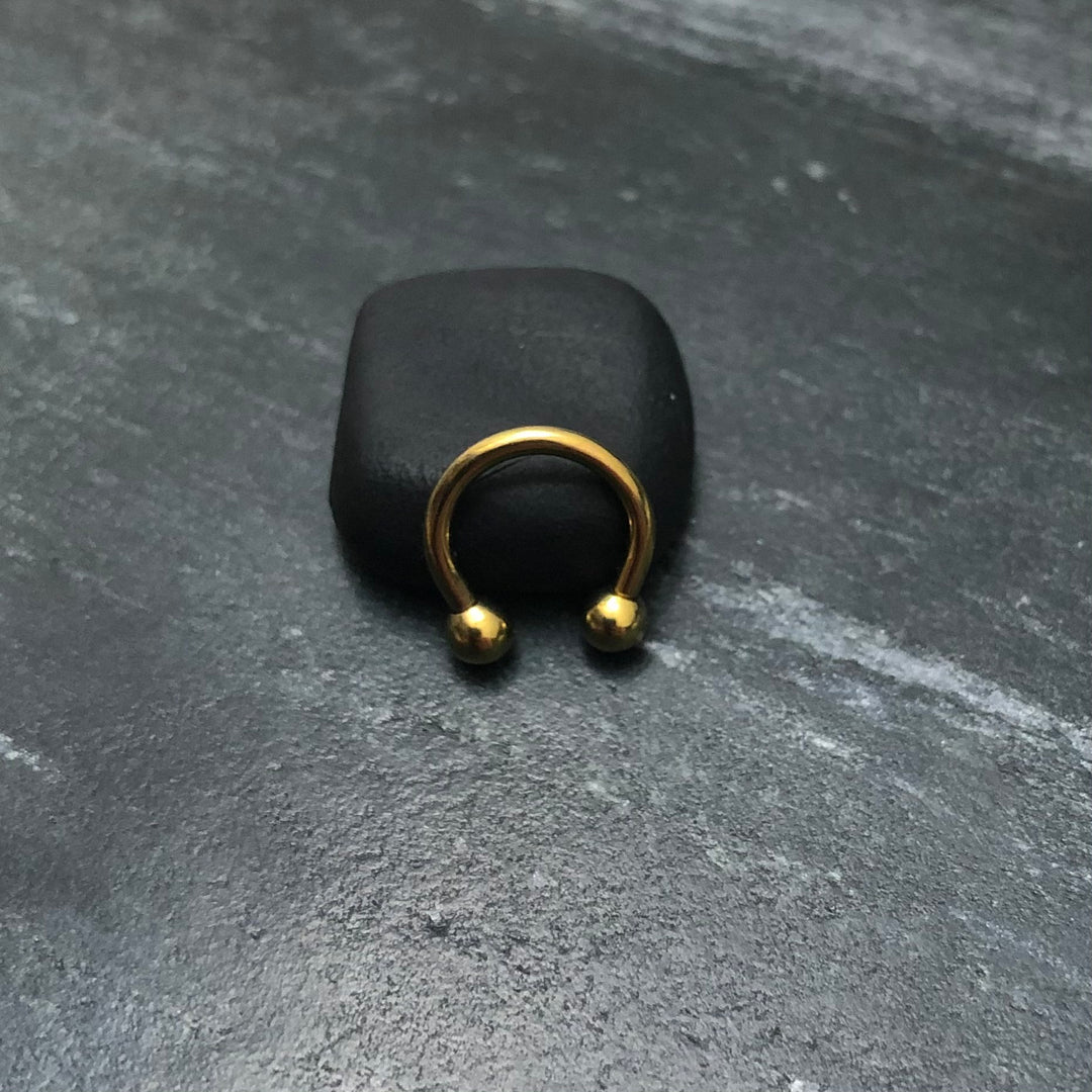 Hufeisen "Basic" Titan